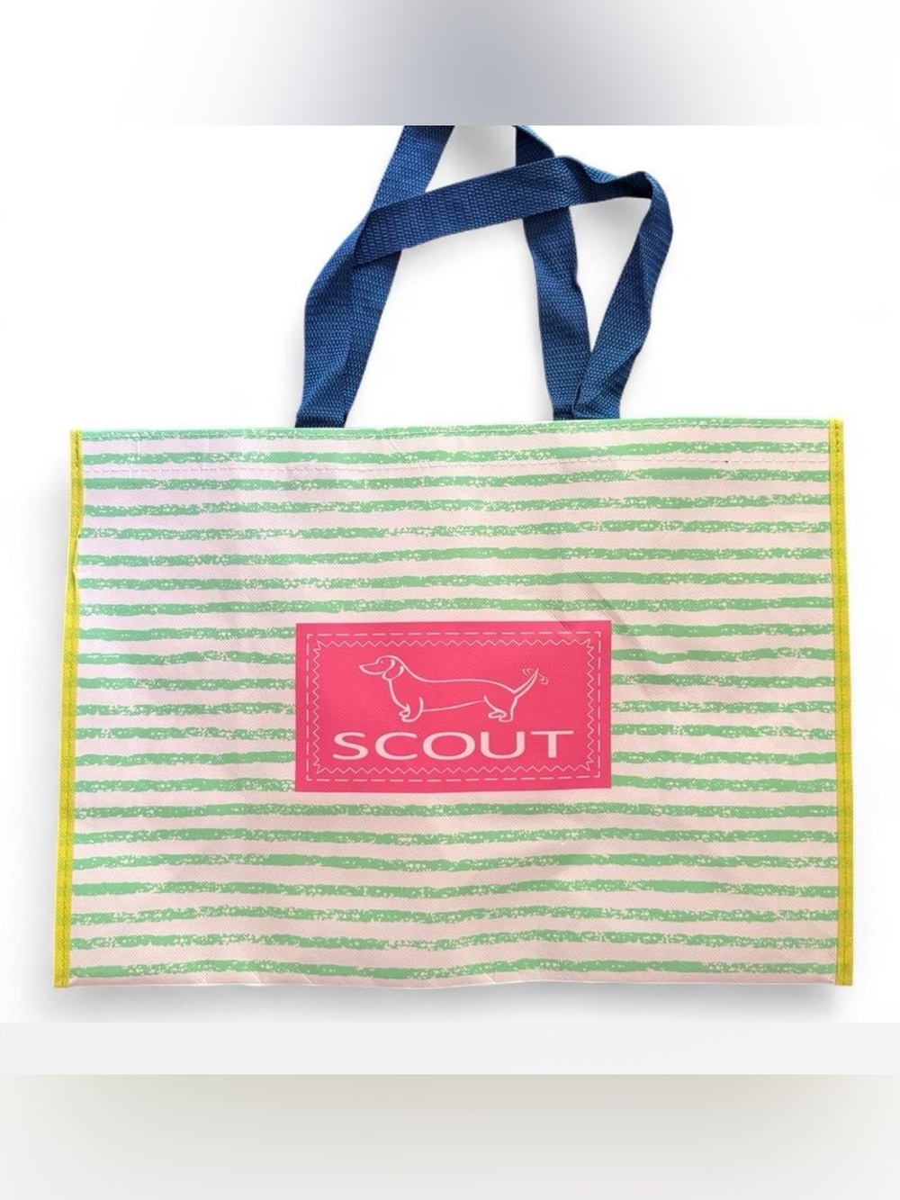SCOUT shopper tote bag with green and white vertical stripes, blue pattern